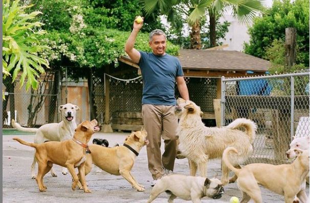 Cesar Millan Net Worth