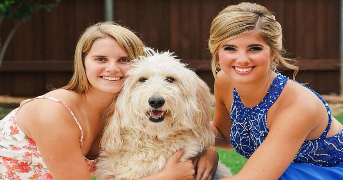 internet personality rachel gomber poses with family dog 