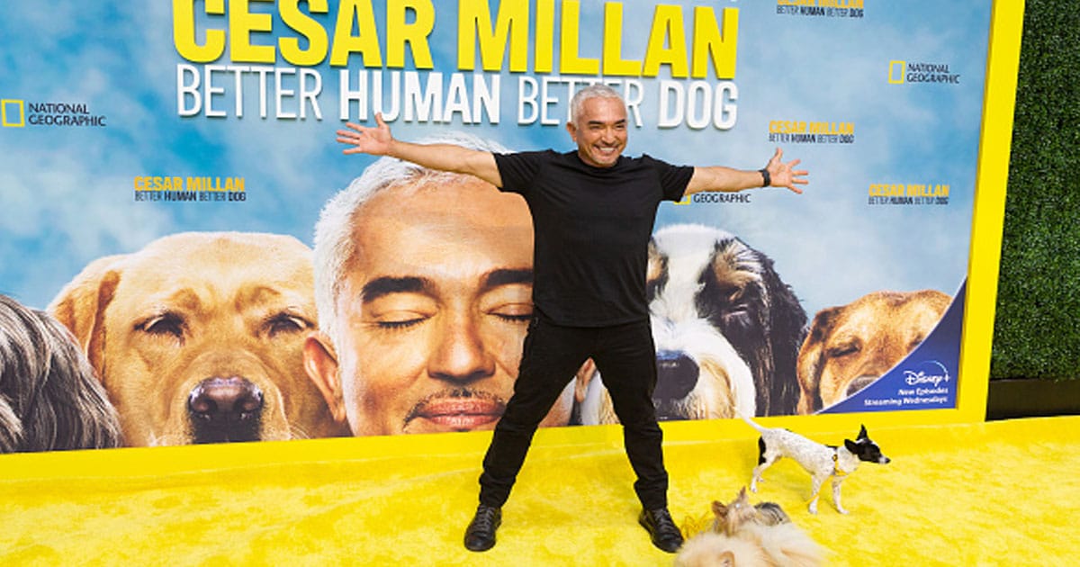 Cesar Millan attends the UltiMutt Los Angeles Premiere Pawty for New National Geographic Series, "Cesar Millan: Better Human Better Dog"