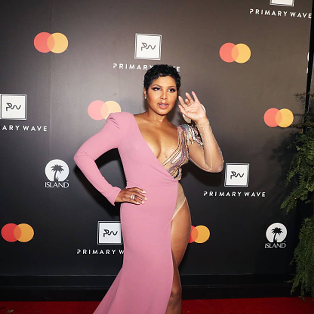 Toni Braxton attends the Primary Wave x Island Records Pre-Grammy Party