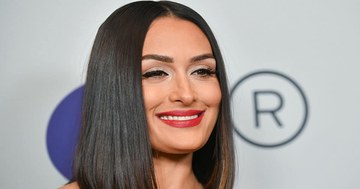 Nikki Bella Net Worth, Age, Bio, Twitter, and Instagram