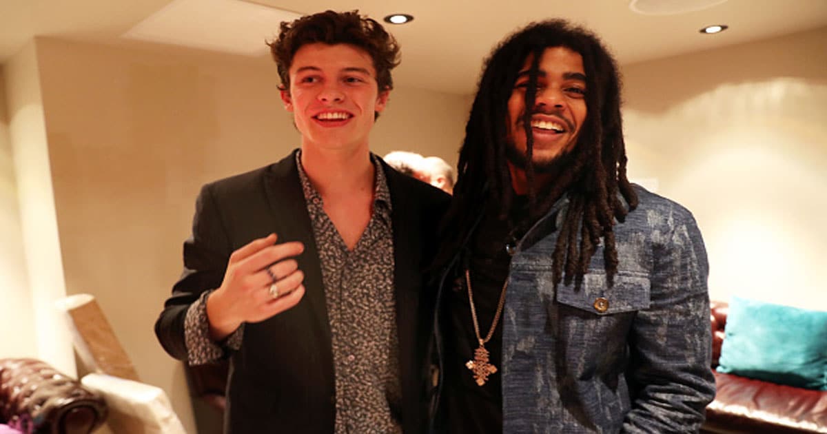 Shawn Mendes and Skip Marley attend Public Hotel on June 19, 2017 in New York City
